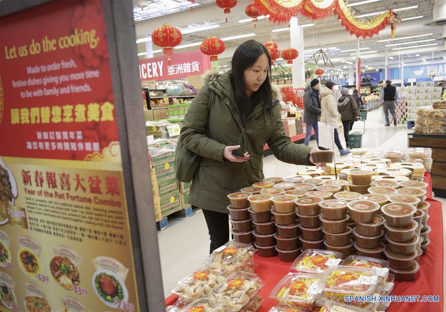 伪造者 视频缩略图