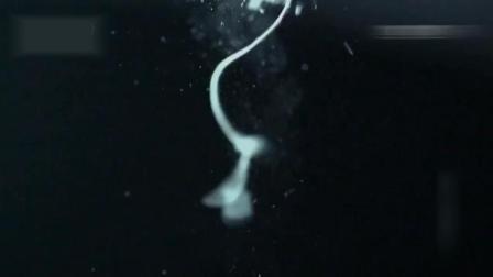 侠盗之星 视频缩略图