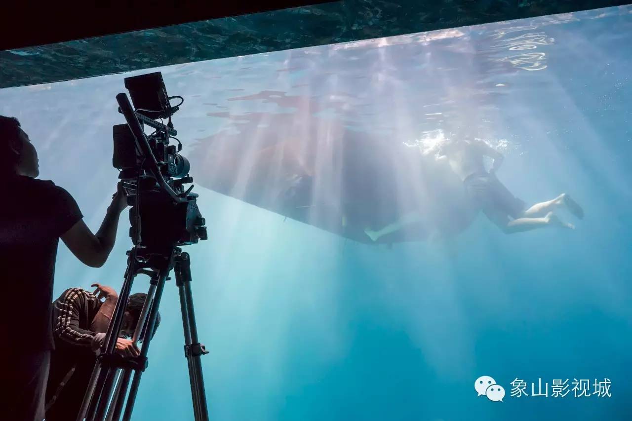 偷家派对 视频缩略图