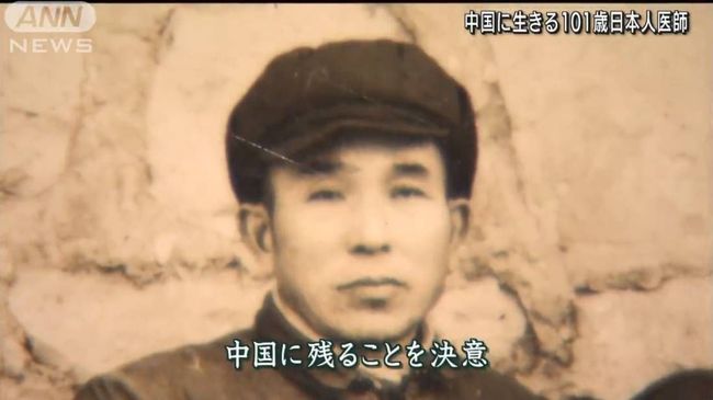 企业动物 视频海报