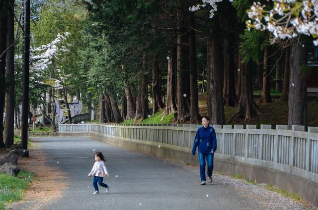 侠骨仁心 视频缩略图
