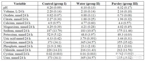 冰封侠：时空行者 普通话版 视频海报