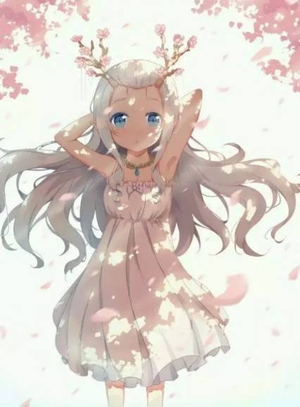 仙后座 视频缩略图