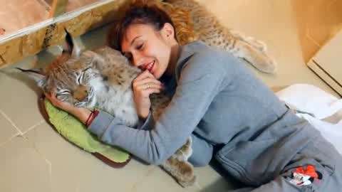 凤梧洞战斗 视频海报