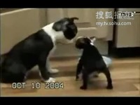 做个有钱人 视频缩略图