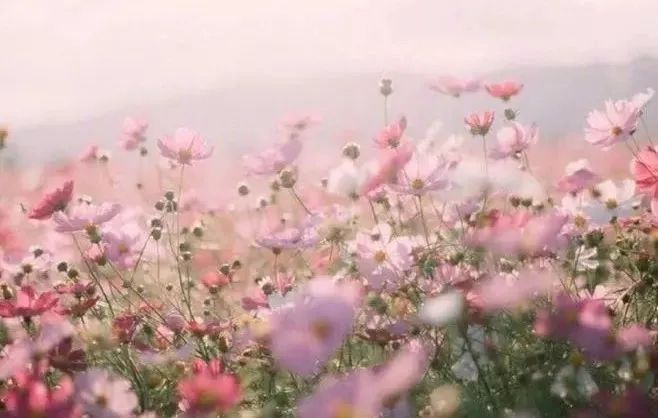 儿子 视频缩略图