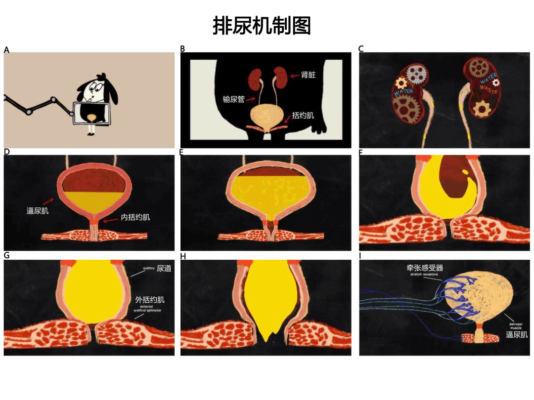 俄罗斯任务 视频缩略图