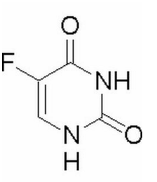 你燃烧了我 视频缩略图