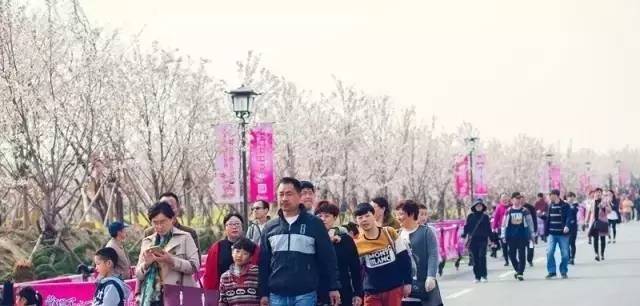 倾城十月 视频缩略图