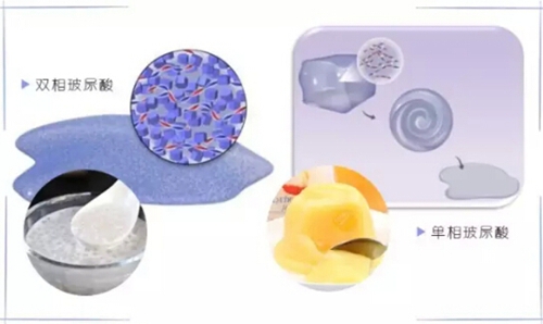 偷心的女人 视频海报