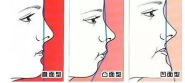 一战再战 视频主图