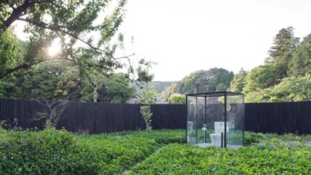 伤心小号曲 视频缩略图