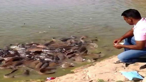 兄弟契约 视频海报