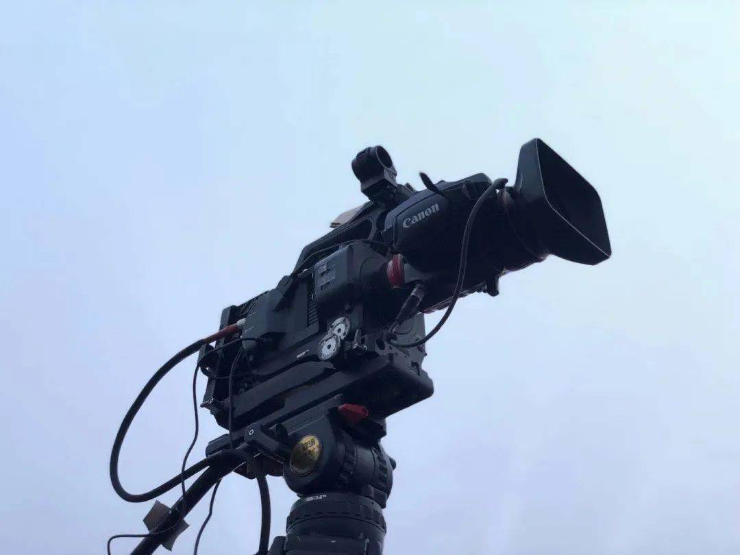 伊莲娜 视频缩略图