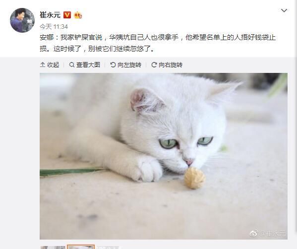 偷龙转凤 视频海报