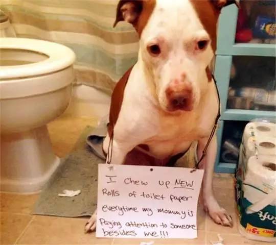 僵尸先生（国语版） 视频缩略图