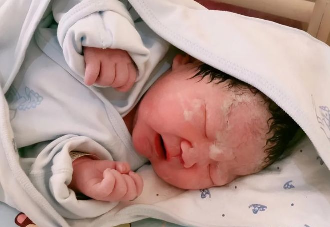 一条龙 视频主图