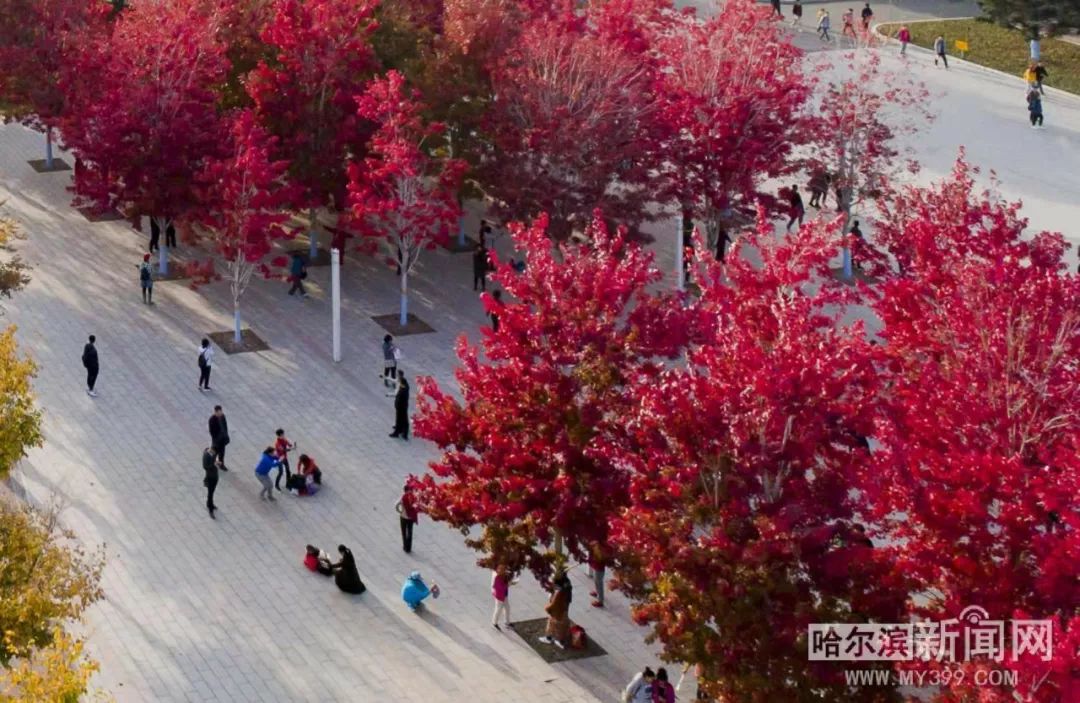 偷天换爱 视频缩略图