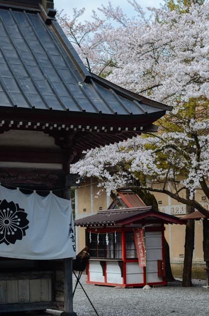 似曾不相识 视频缩略图