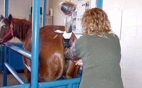 复仇者联盟4：终局之战（国语版） 视频缩略图