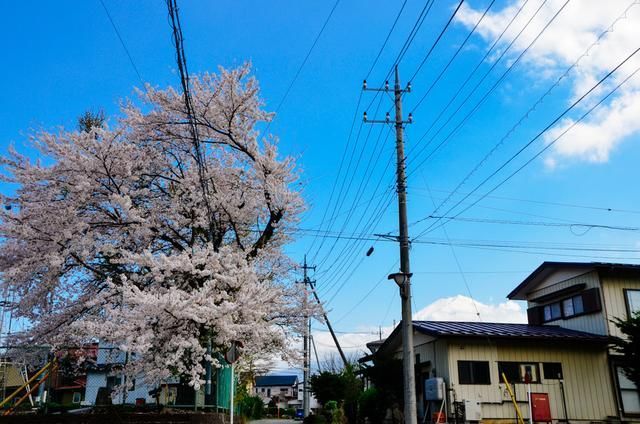 国际瀑布城 视频缩略图