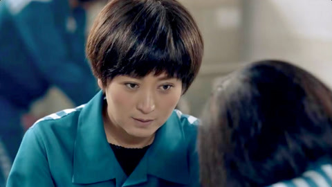 偷龙转凤 视频海报