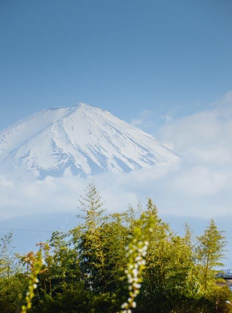 你不是我 视频缩略图