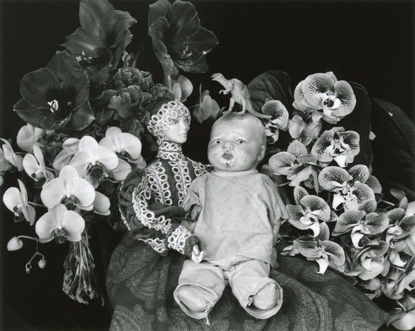 厨娘杀手 视频缩略图