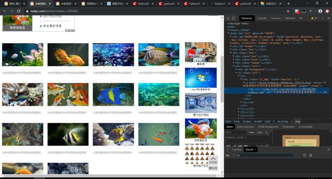 伦敦生活 视频缩略图