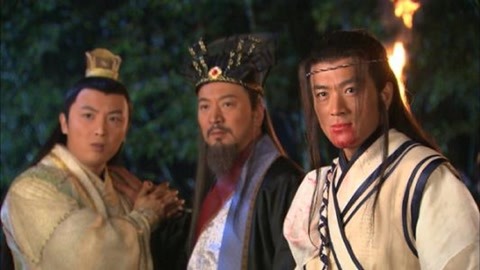 企业动物 视频海报