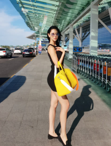 企业动物 视频缩略图