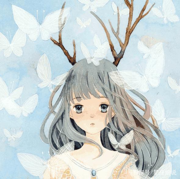 仙后座 视频主图