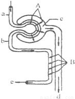 伟大的自由 视频缩略图