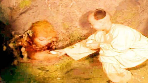 伏妖·诛魔镜(国语版） 视频缩略图