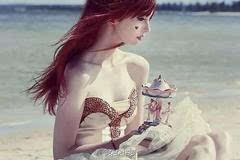 再起风云 视频主图