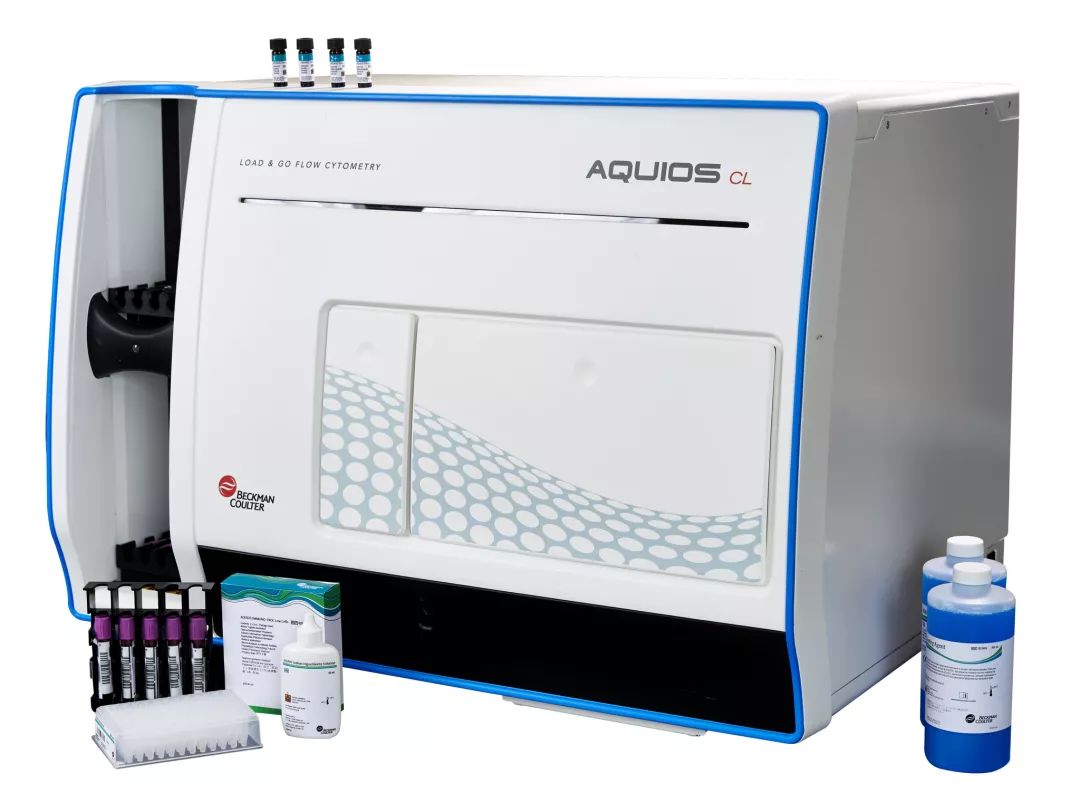 你是不是我的爱人 视频主图