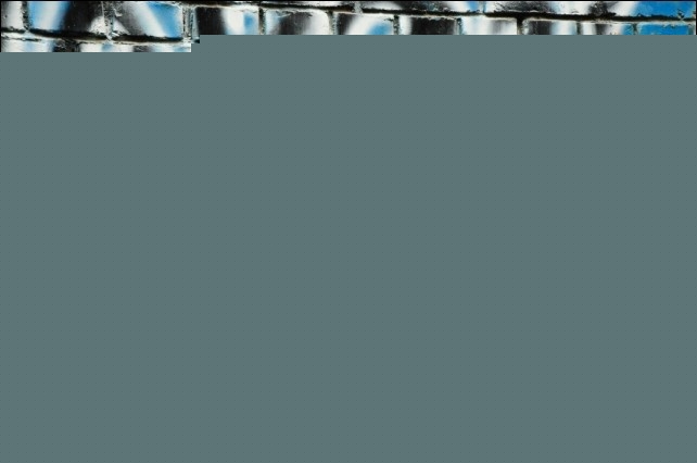 企业动物 视频缩略图