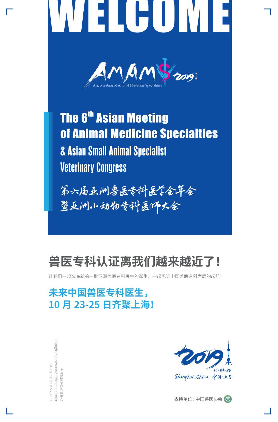 侠盗之星 视频主图