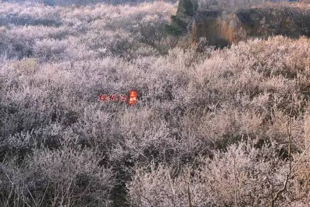 倮·恋 视频缩略图