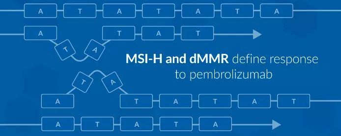 借口公司 Alibi.com 视频缩略图