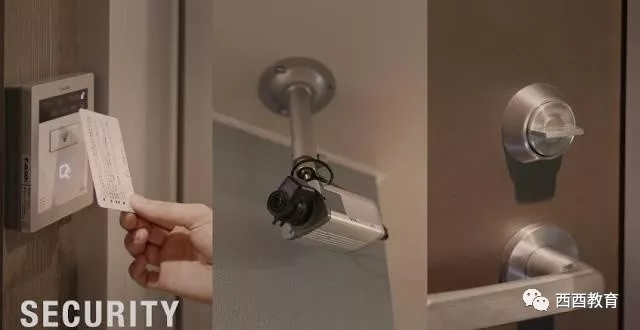 伊丽莎 施莱辛 不同的动物 视频缩略图