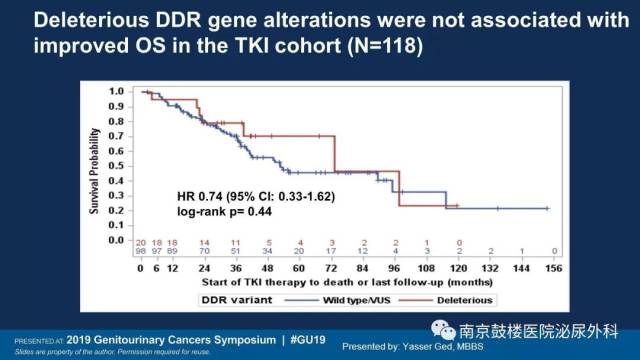 企业动物 视频海报