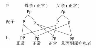 兄弟，请注意 视频缩略图