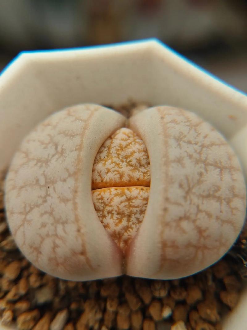 代课教师 视频海报