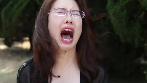 信天翁 视频海报