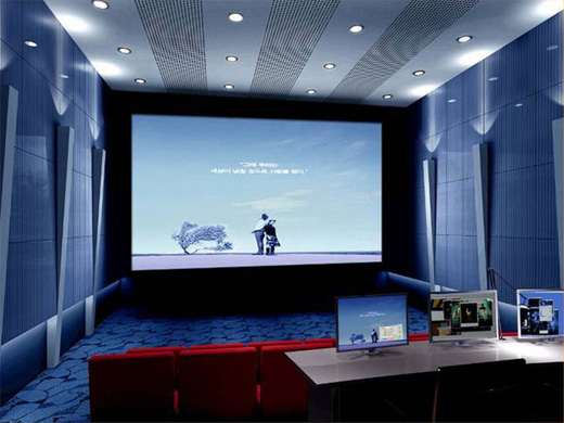 冒牌搭档 视频海报