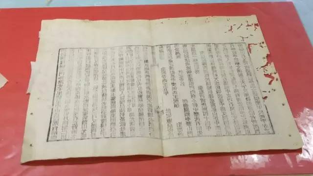 倮·恋 视频缩略图