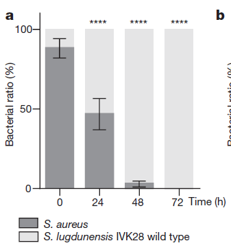 唐人街探案 视频缩略图