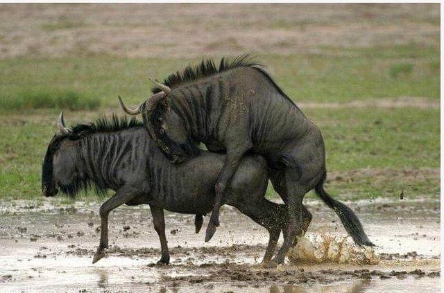 你情我愿 你情我願 视频海报