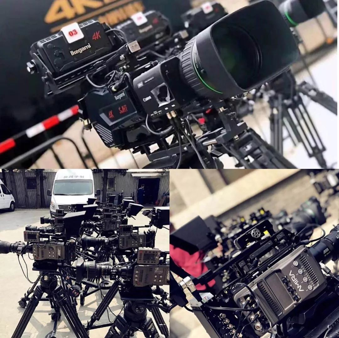 你好，树公主 视频缩略图